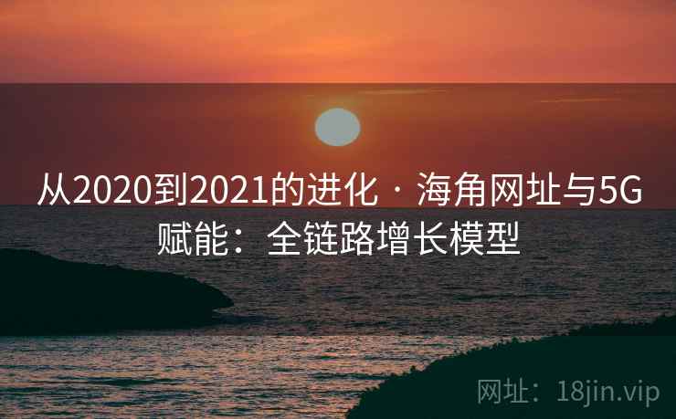 从2020到2021的进化 · 海角网址与5G赋能:全链路增长模型