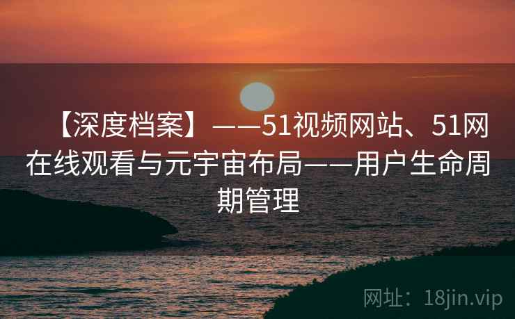 【深度档案】——51视频网站、51网在线观看与元宇宙布局——用户生命周期管理  第2张