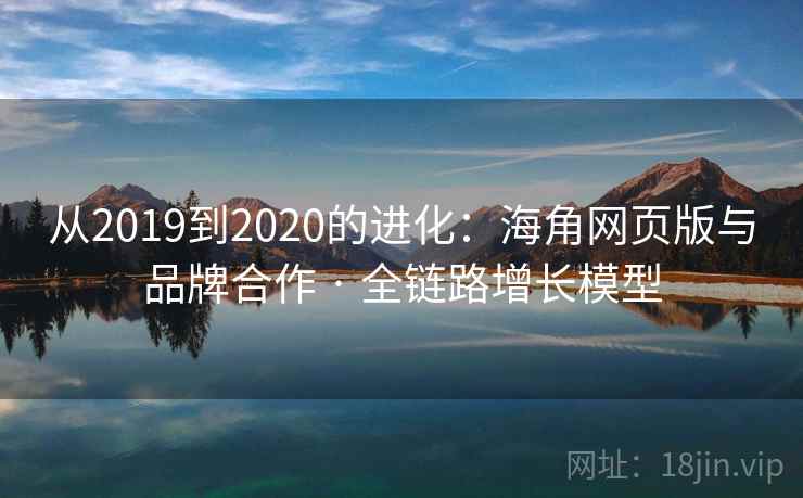 从2019到2020的进化:海角网页版与品牌合作 · 全链路增长模型