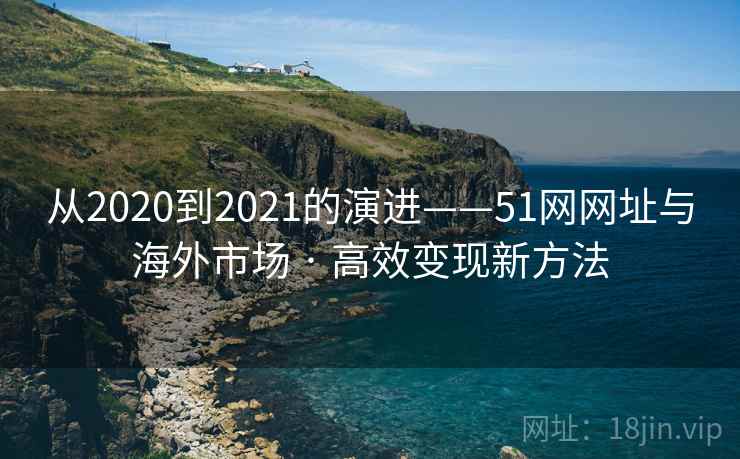 从2020到2021的演进——51网网址与海外市场 · 高效变现新方法