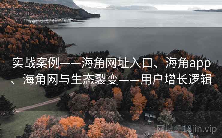实战案例——海角网址入口、海角app、海角网与生态裂变——用户增长逻辑