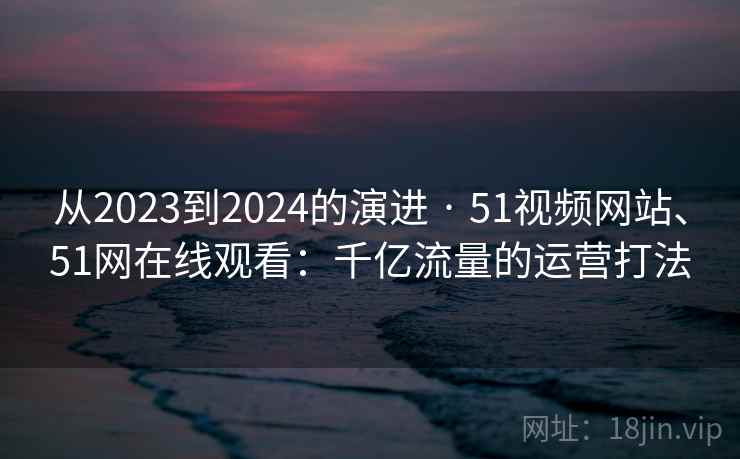 从2023到2024的演进 · 51视频网站、51网在线观看:千亿流量的运营打法