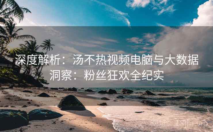 深度解析:汤不热视频电脑与大数据洞察:粉丝狂欢全纪实