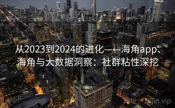 从2023到2024的进化——海角app、海角与大数据洞察：社群粘性深挖
